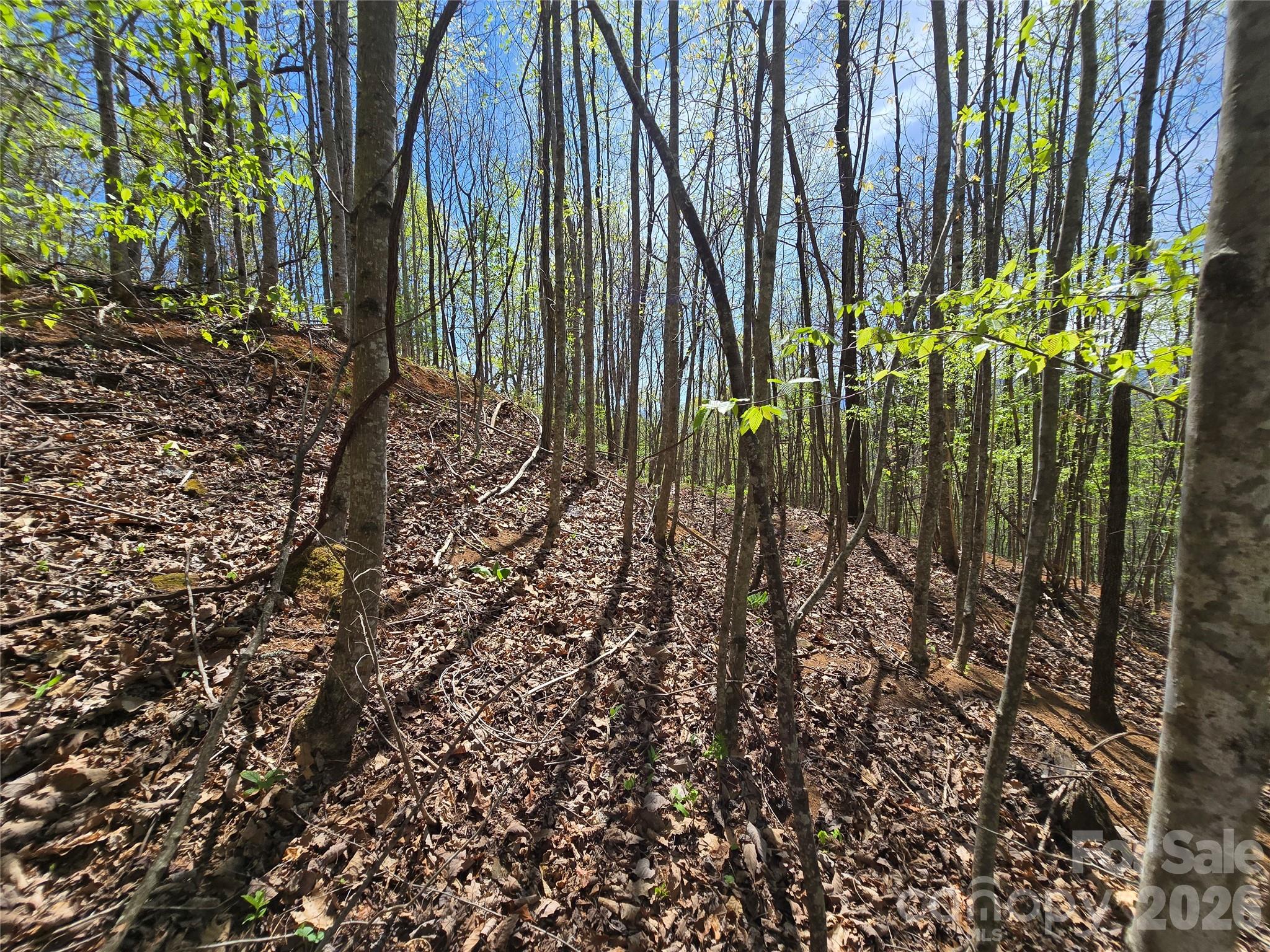 0 Winding Way Drive Franklin NC 28734
