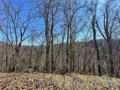 275 Overlook Lane Marshall NC 28753