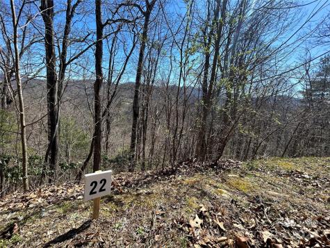 275 Overlook Lane Marshall NC 28753