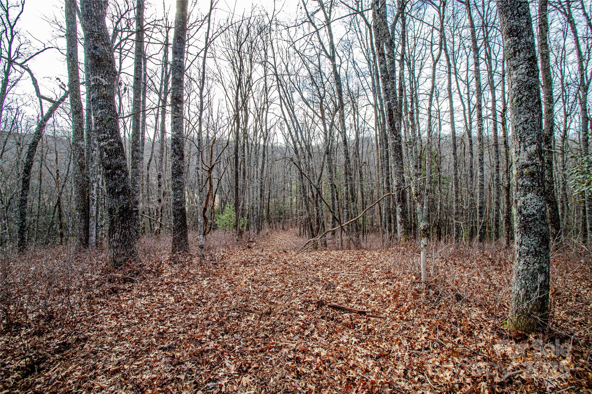 Tbd Tannassee Creek Road Tuckasegee NC 28783