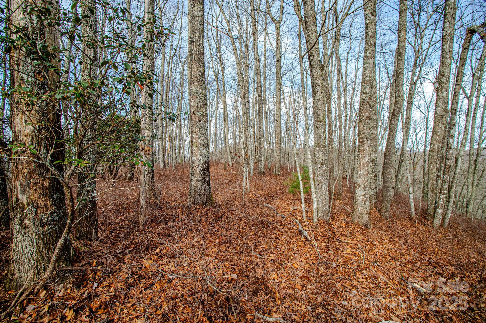 Tbd Tannassee Creek Road Tuckasegee NC 28783