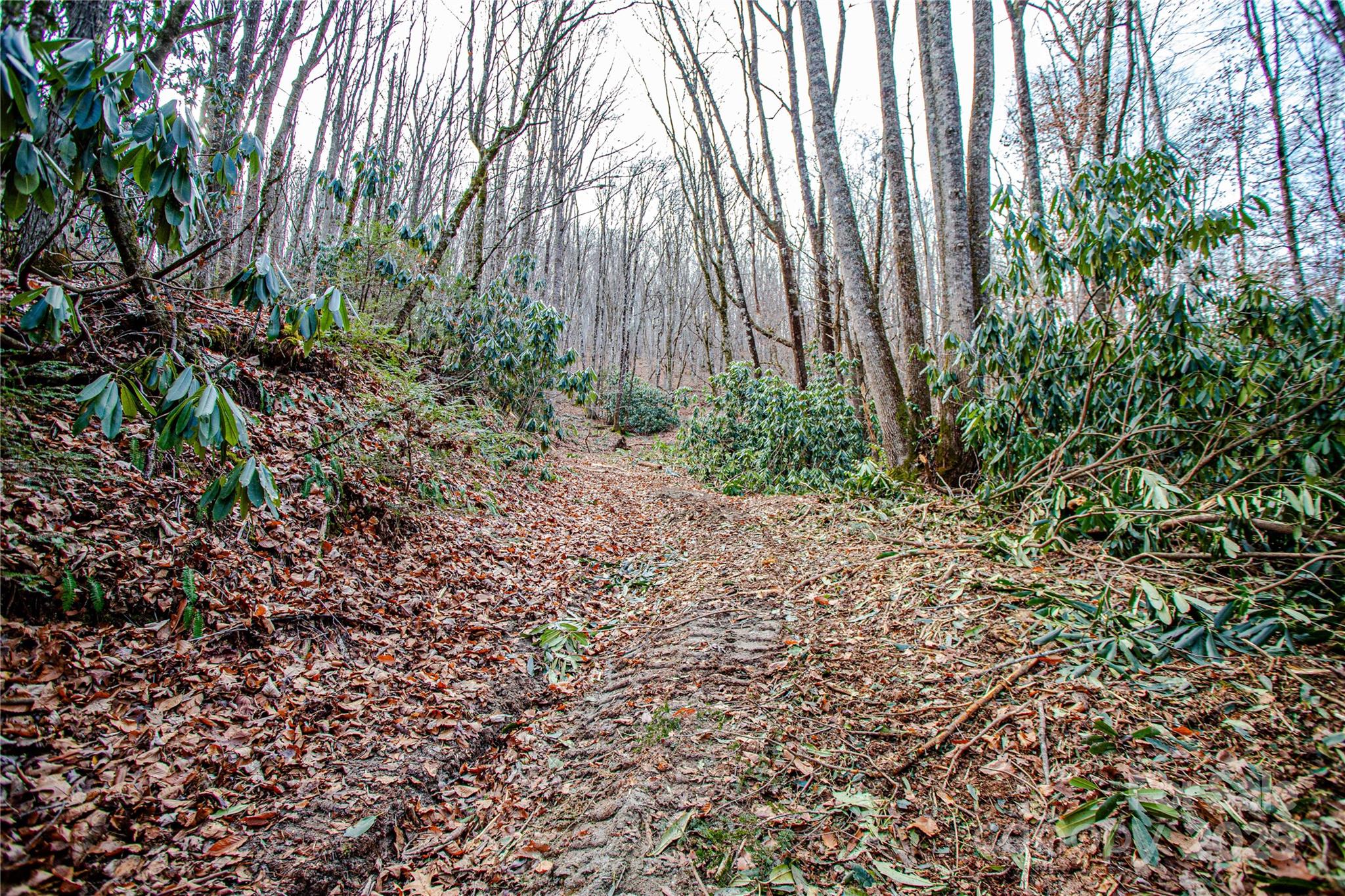 Tbd Tannassee Creek Road Tuckasegee NC 28783