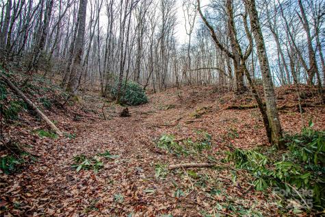 Tbd Tannassee Creek Road Tuckasegee NC 28783