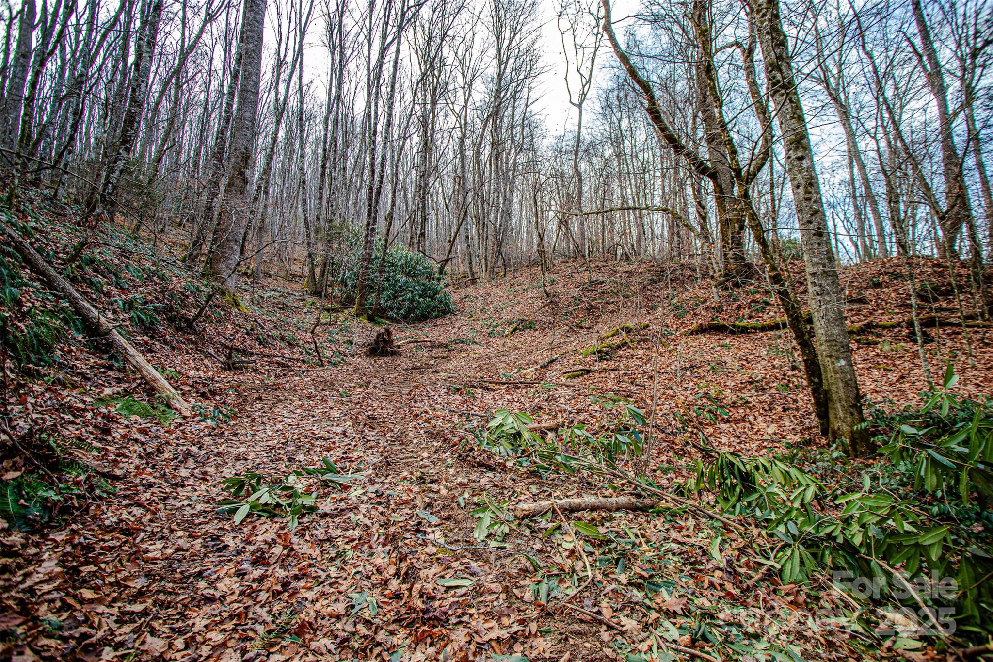Tbd Tannassee Creek Road Tuckasegee NC 28783