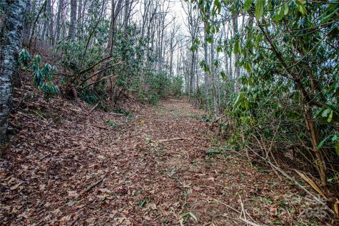 Tbd Tannassee Creek Road Tuckasegee NC 28783