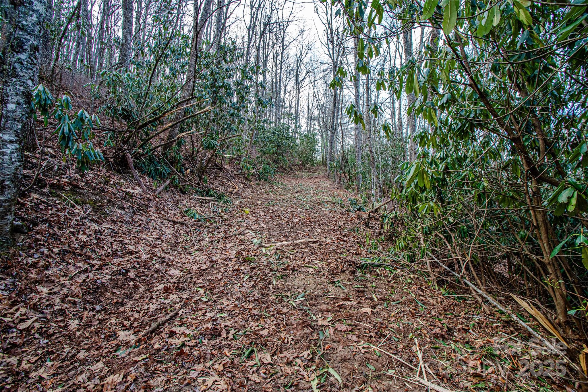 Tbd Tannassee Creek Road Tuckasegee NC 28783