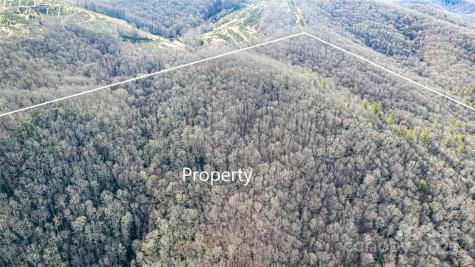 Tbd Tannassee Creek Road Tuckasegee NC 28783