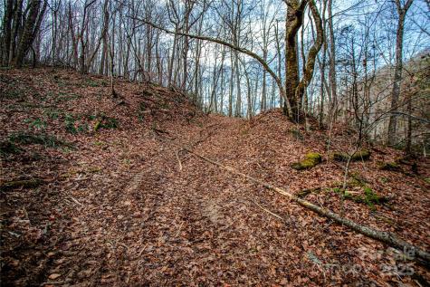 Tbd Tannassee Creek Road Tuckasegee NC 28783