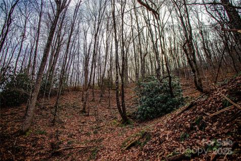 Tbd Tannassee Creek Road Tuckasegee NC 28783