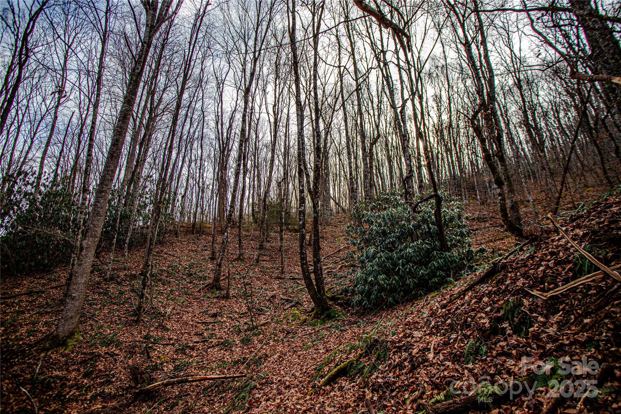 Tbd Tannassee Creek Road Tuckasegee NC 28783