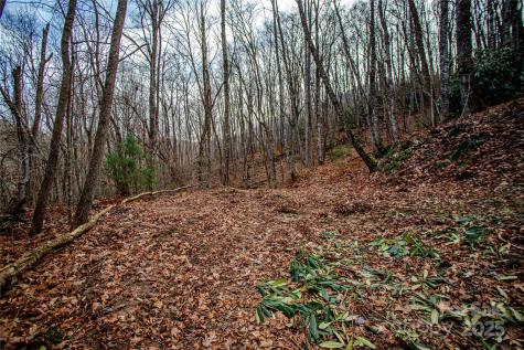 Tbd Tannassee Creek Road Tuckasegee NC 28783