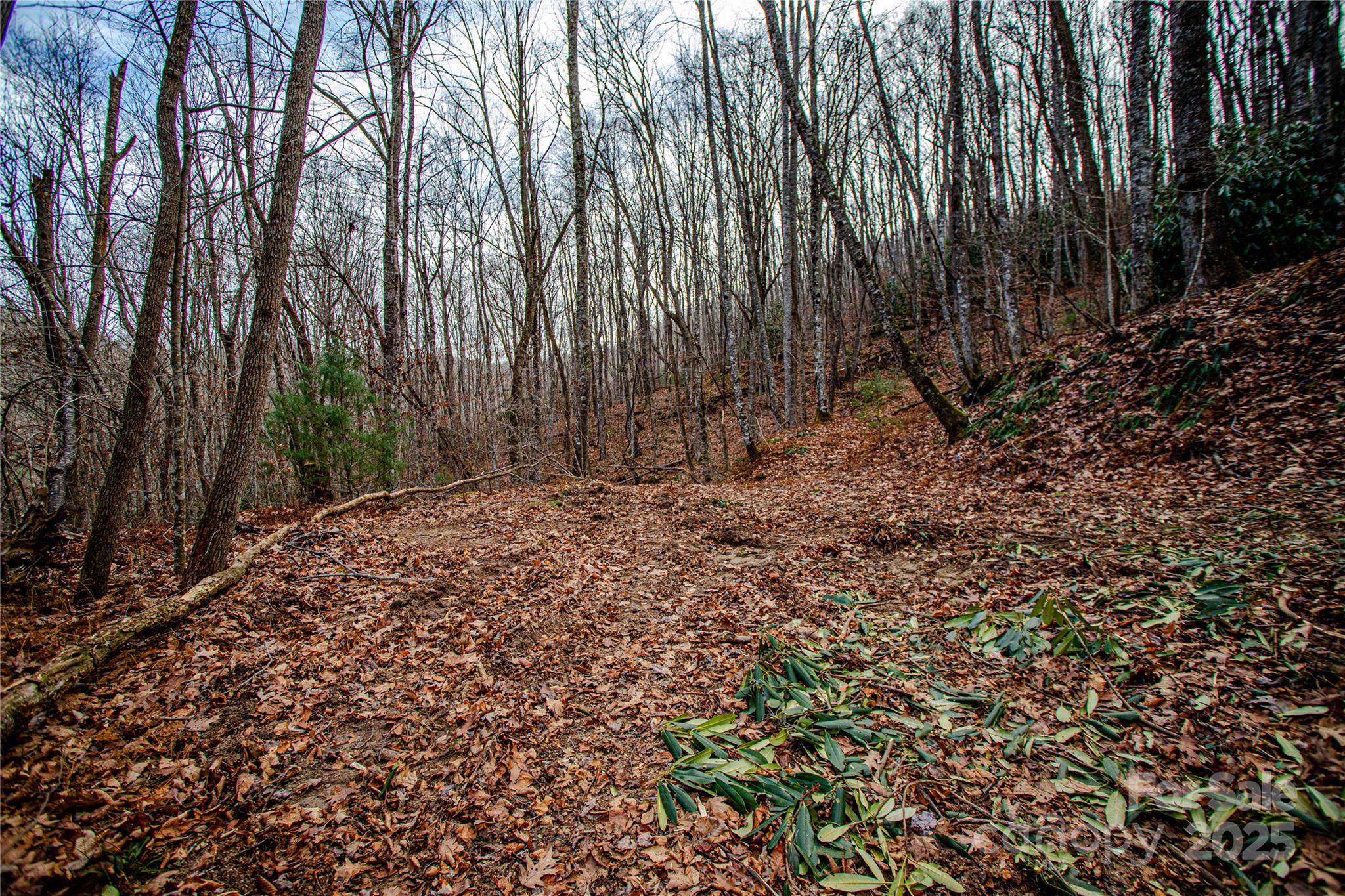 Tbd Tannassee Creek Road Tuckasegee NC 28783