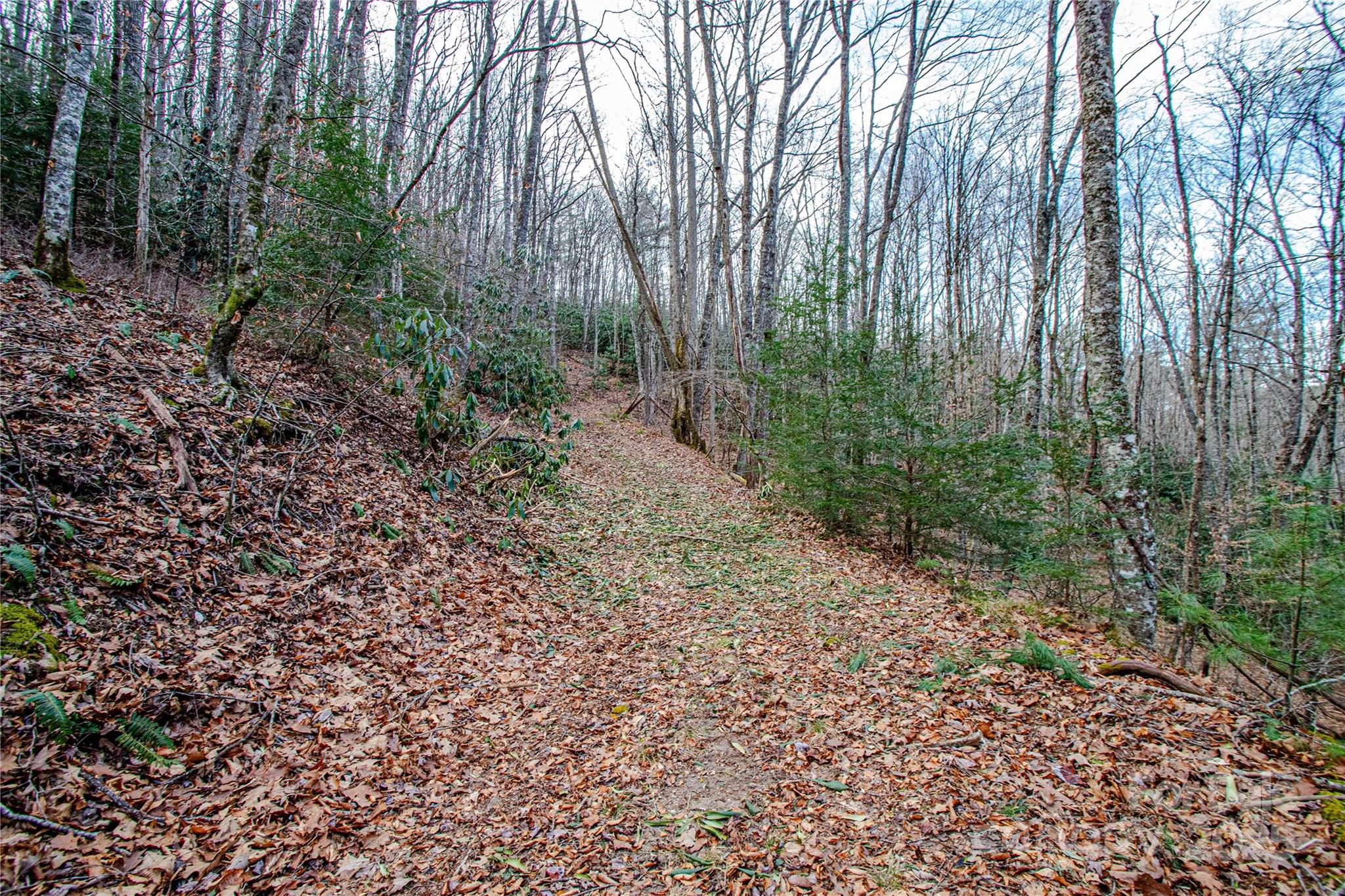 Tbd Tannassee Creek Road Tuckasegee NC 28783