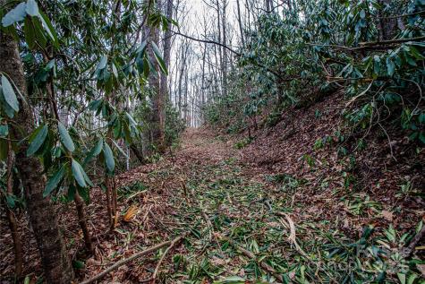 Tbd Tannassee Creek Road Tuckasegee NC 28783