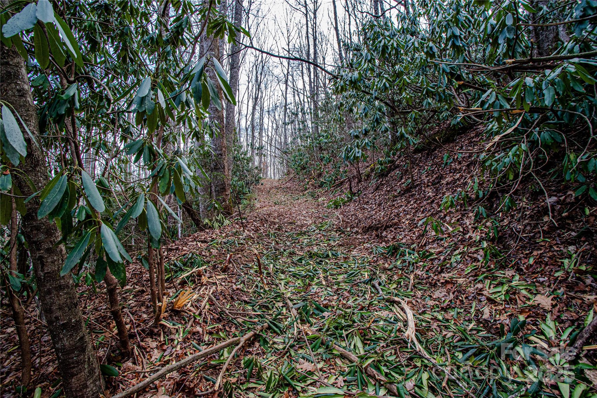 Tbd Tannassee Creek Road Tuckasegee NC 28783