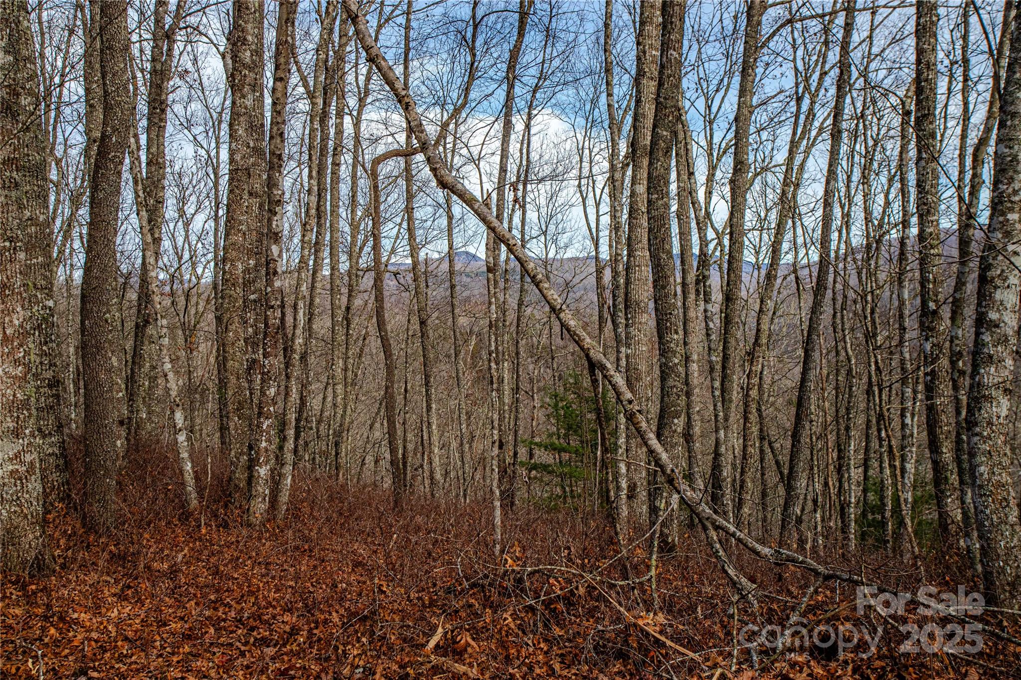 Tbd Tannassee Creek Road Tuckasegee NC 28783