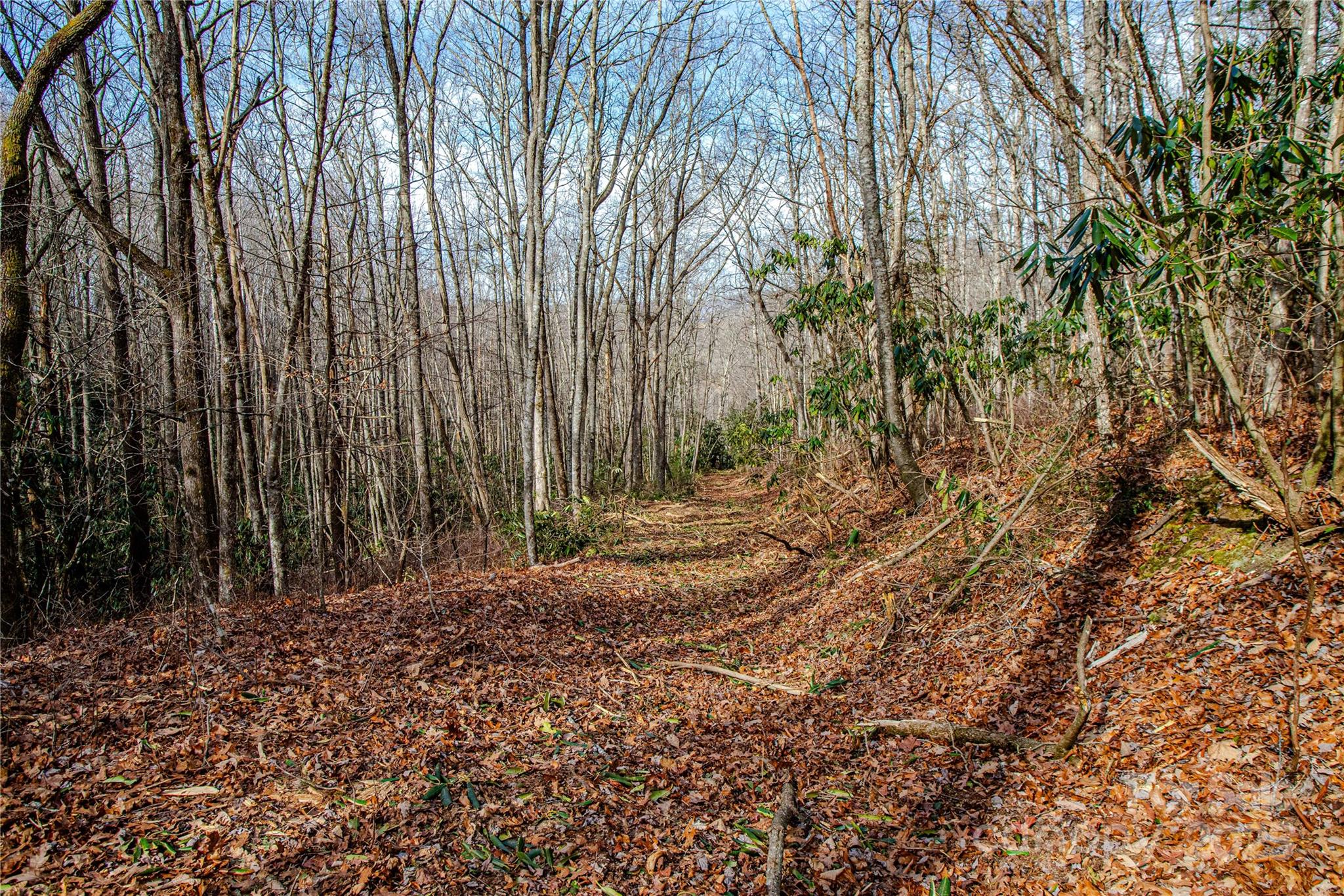 Tbd Tannassee Creek Road Tuckasegee NC 28783