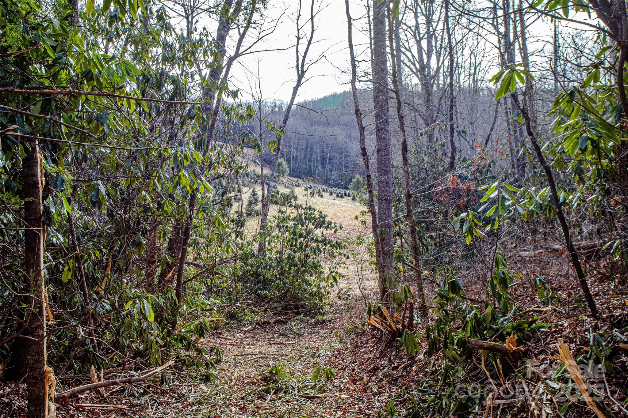 Tbd Tannassee Creek Road Tuckasegee NC 28783