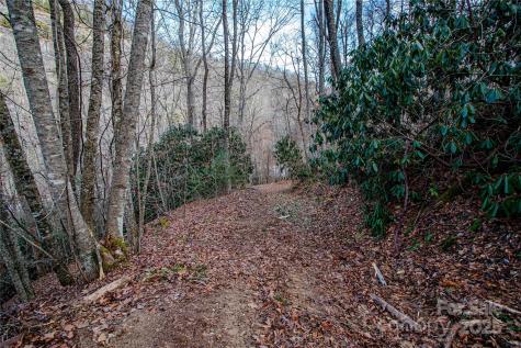 Tbd Tannassee Creek Road Tuckasegee NC 28783