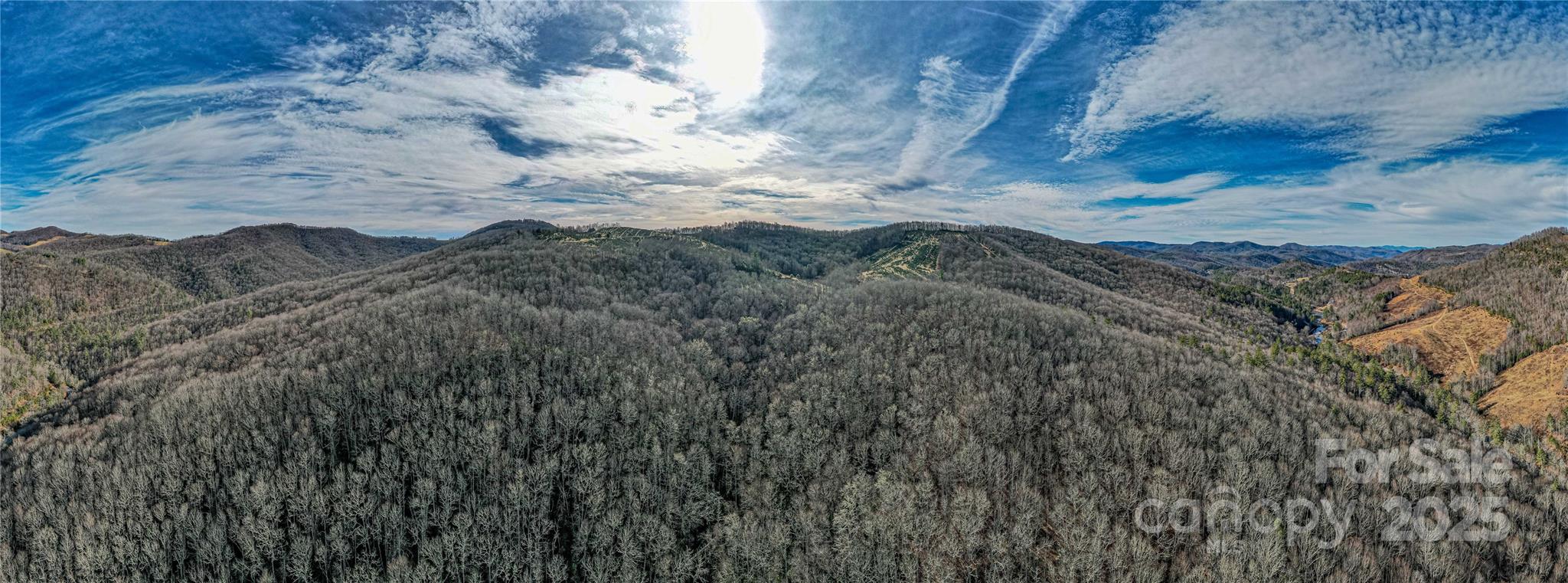 Tbd Tannassee Creek Road Tuckasegee NC 28783