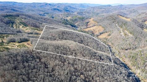 Tbd Tannassee Creek Road Tuckasegee NC 28783
