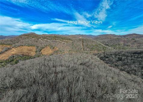 Tbd Tannassee Creek Road Tuckasegee NC 28783