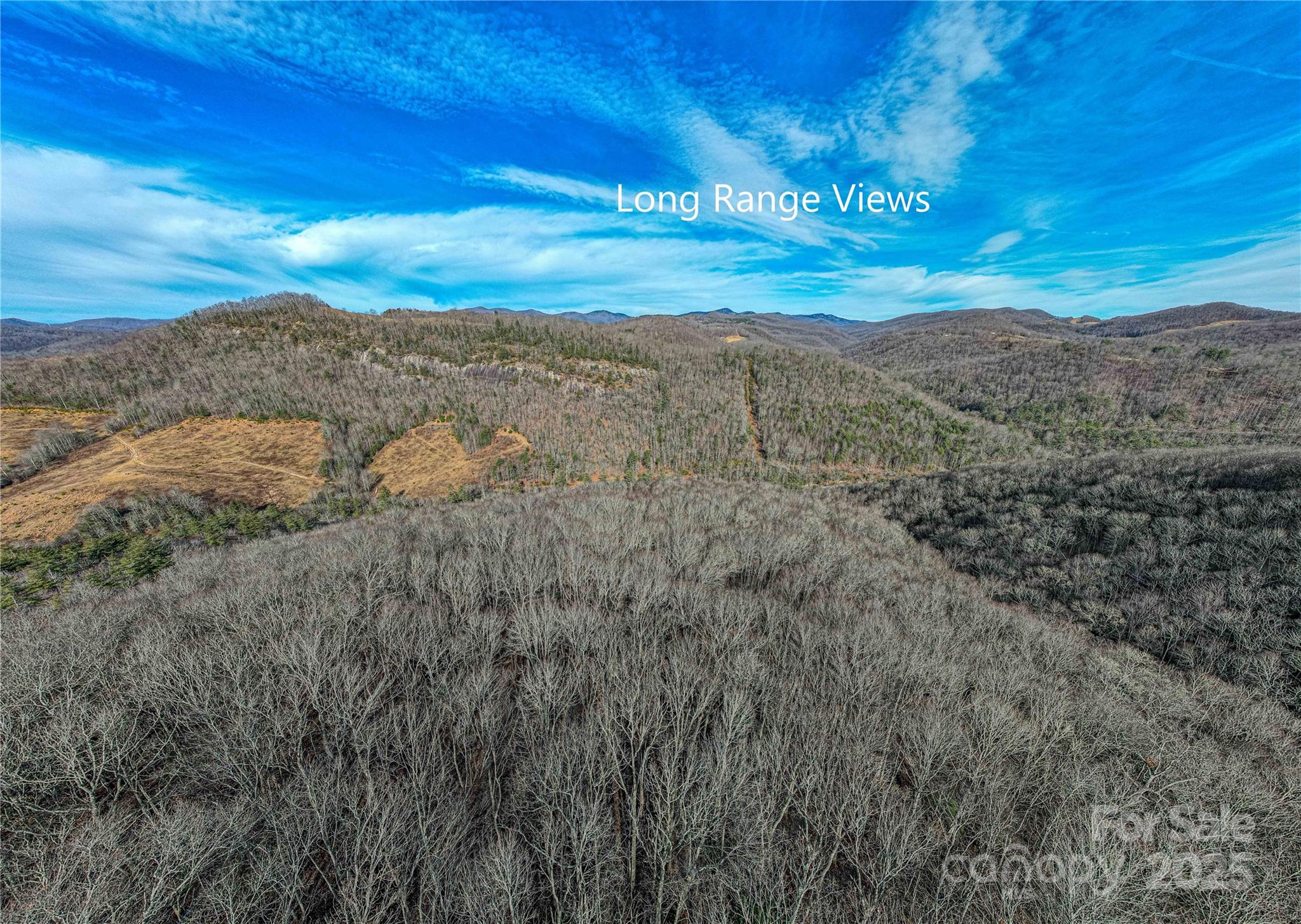 Tbd Tannassee Creek Road Tuckasegee NC 28783