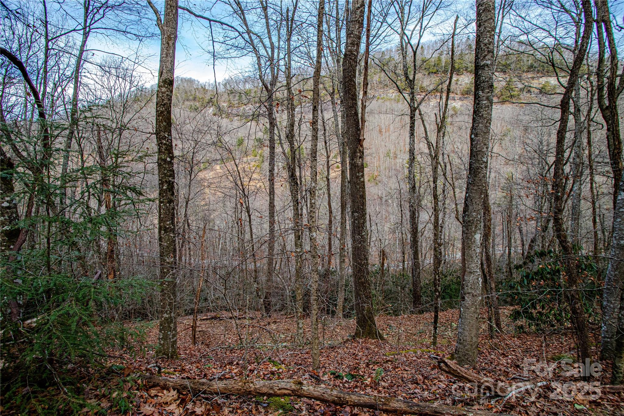 Tbd Tannassee Creek Road Tuckasegee NC 28783