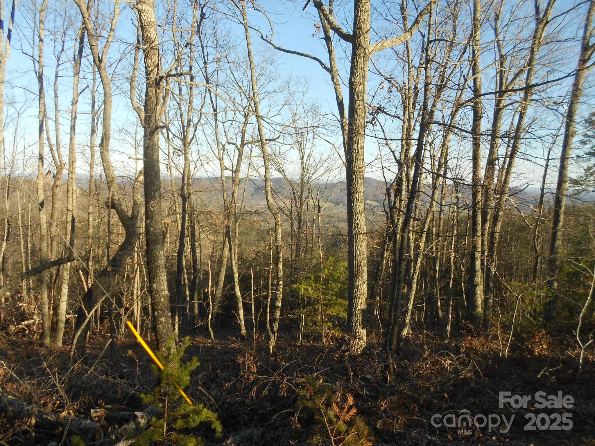 0000 Arbra Mountain Way Bostic NC 28018