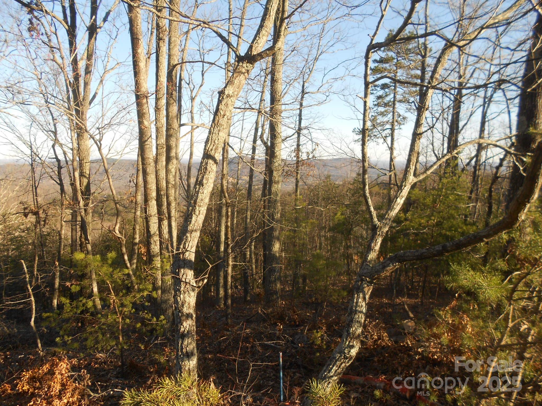 0000 Arbra Mountain Way Bostic NC 28018