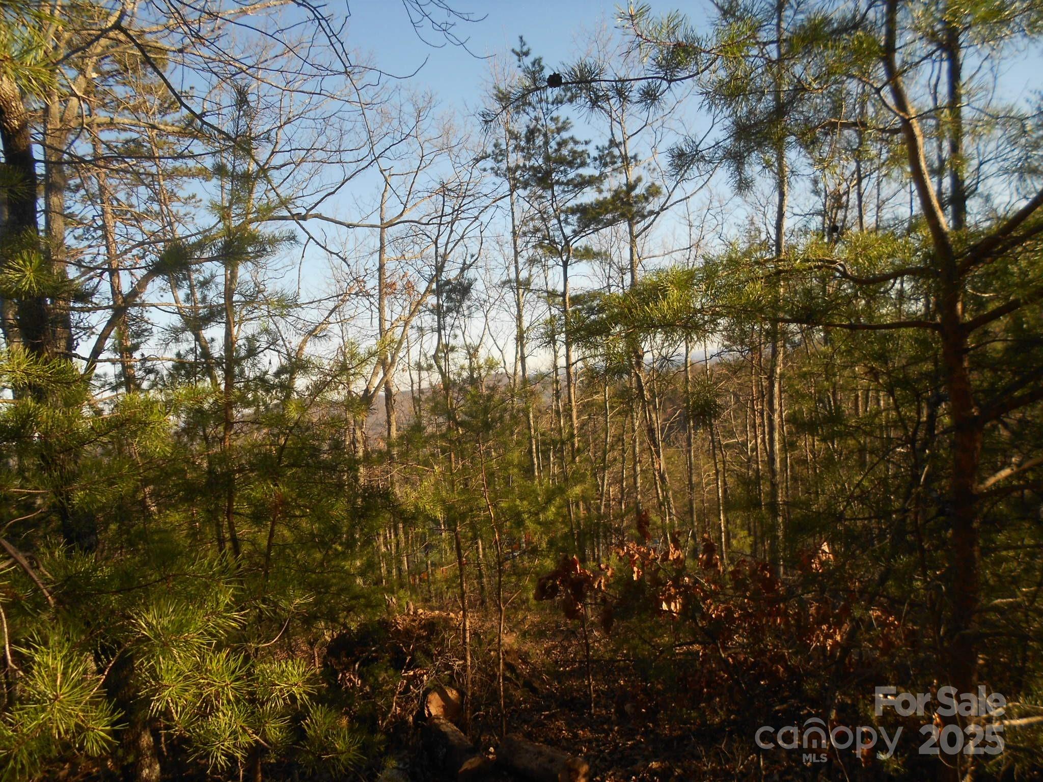 0000 Arbra Mountain Way Bostic NC 28018