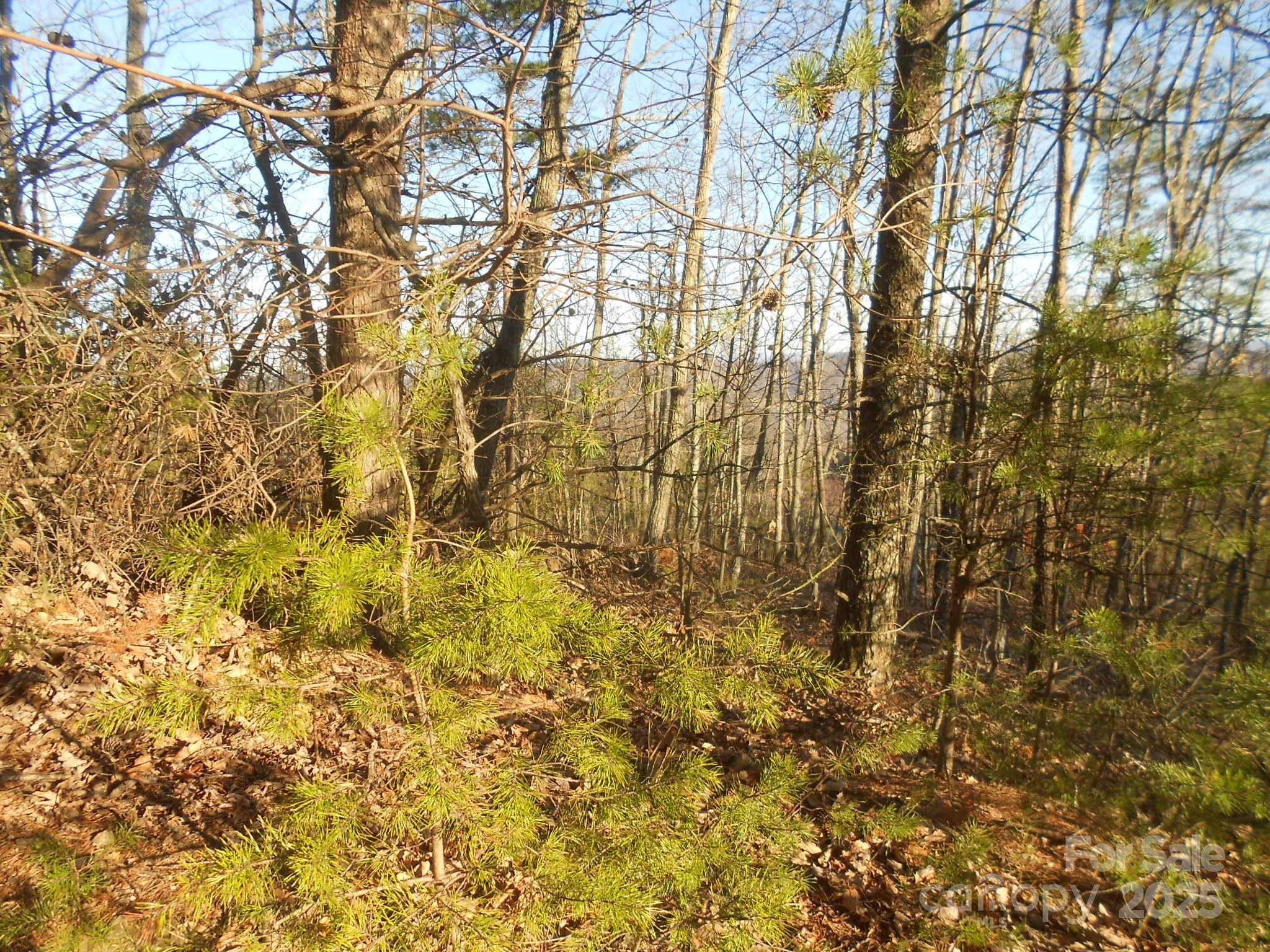 0000 Arbra Mountain Way Bostic NC 28018