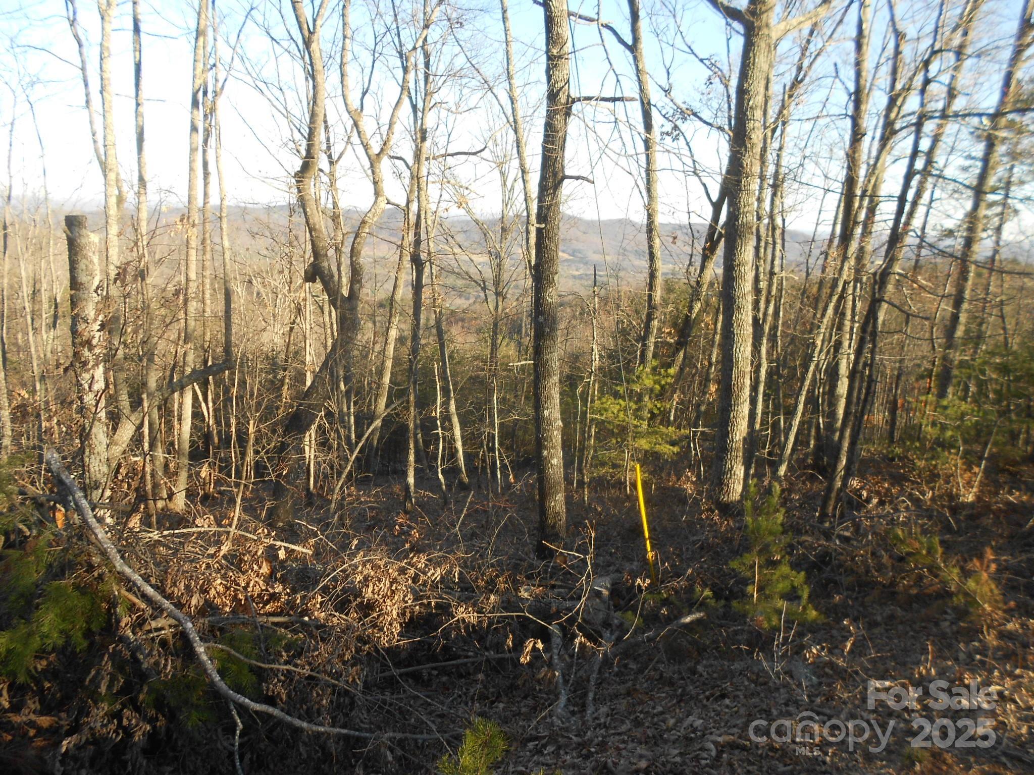 0000 Arbra Mountain Way Bostic NC 28018