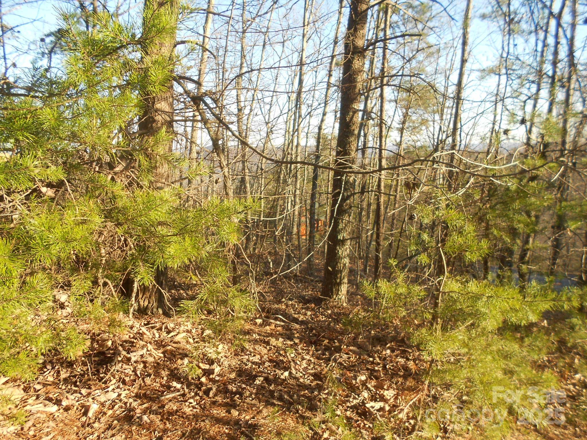 0000 Arbra Mountain Way Bostic NC 28018