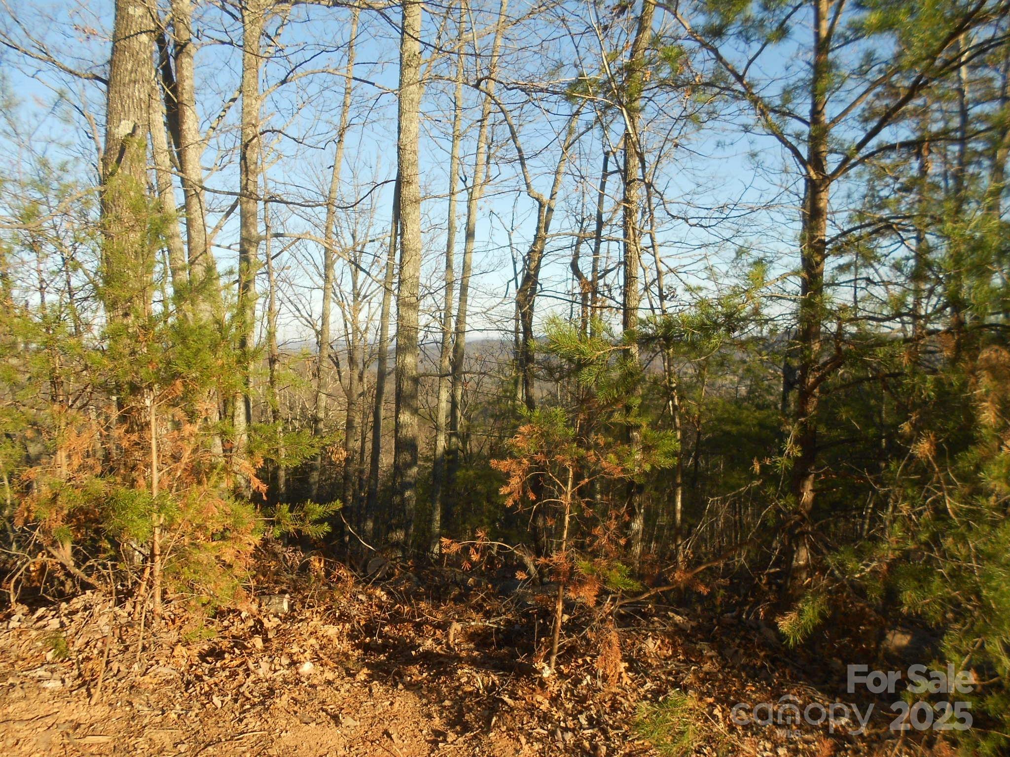 0000 Arbra Mountain Way Bostic NC 28018