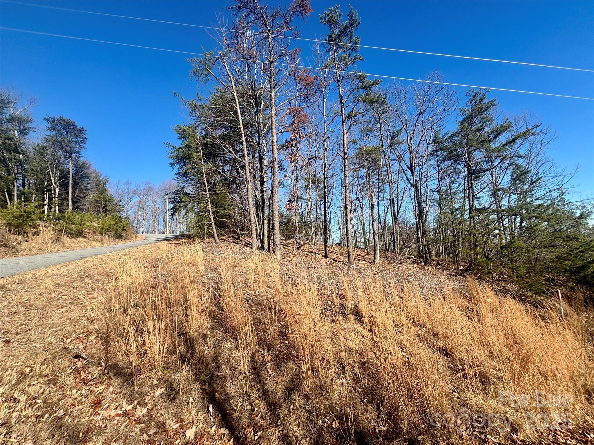 0000 Arbra Mountain Way Bostic NC 28018