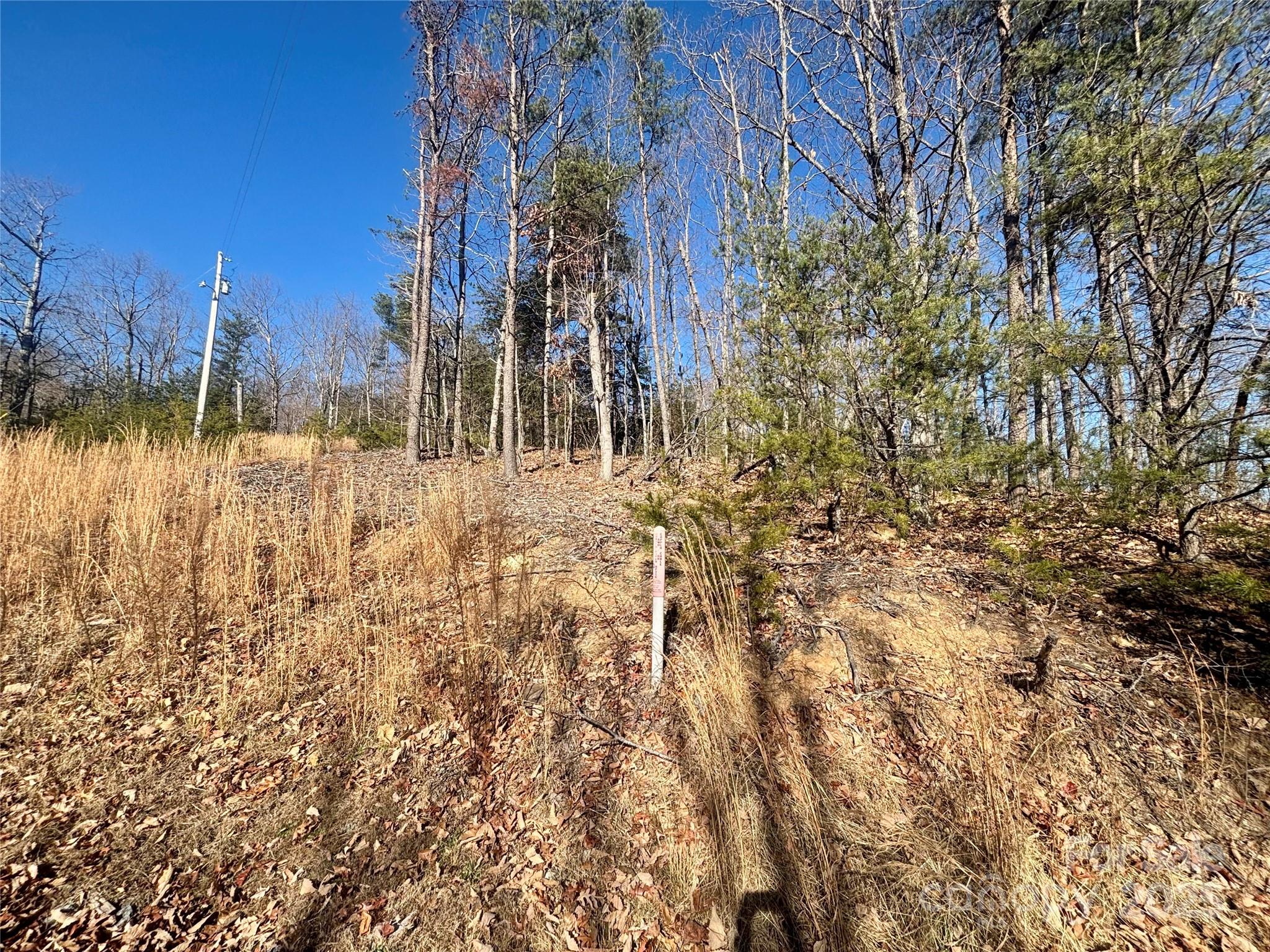 0000 Arbra Mountain Way Bostic NC 28018