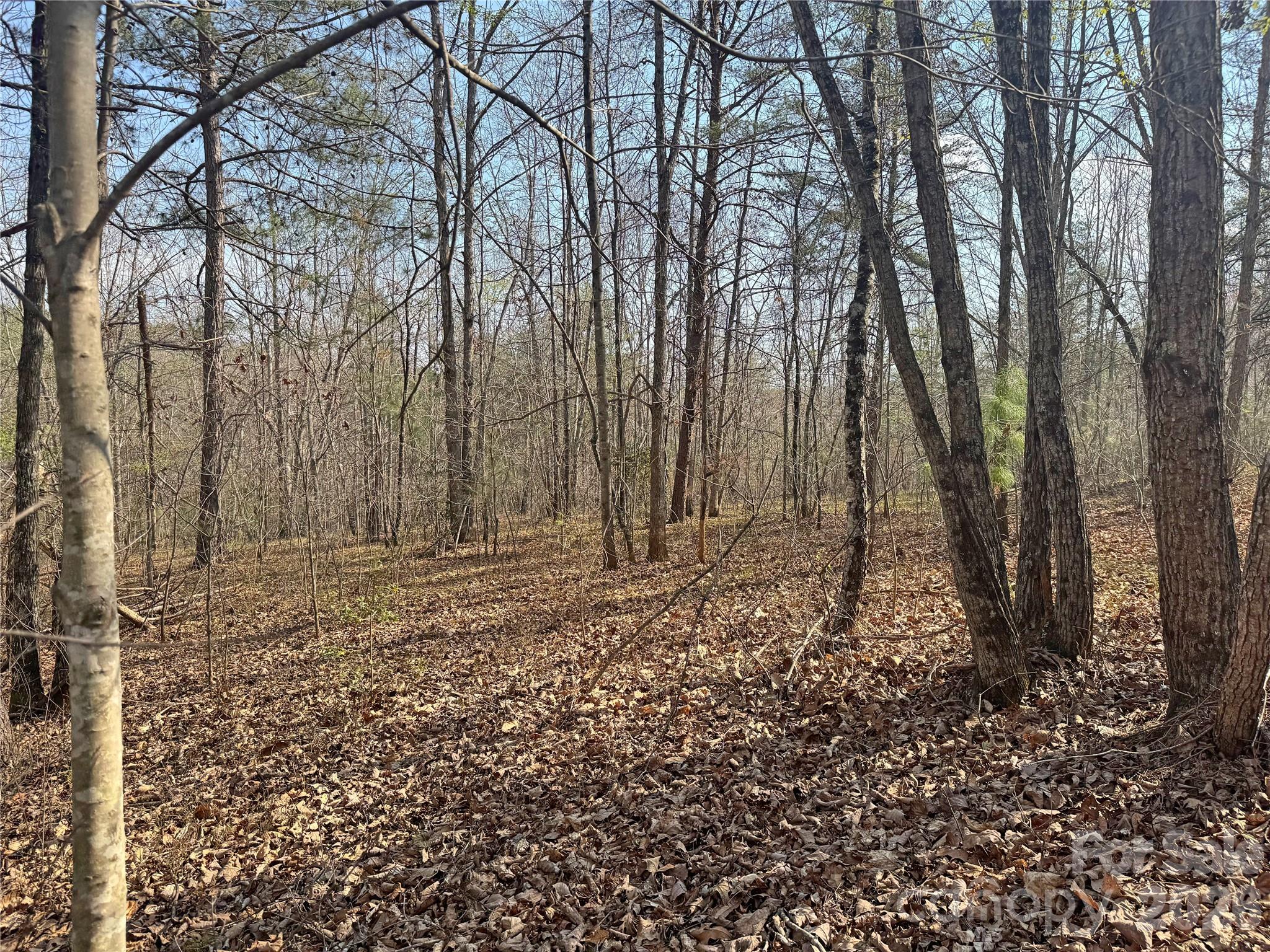 Ville Amberwood Place Rutherfordton NC 28139