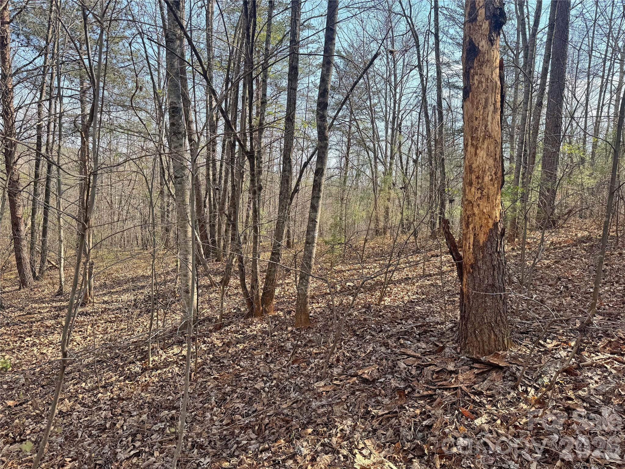 Ville Amberwood Place Rutherfordton NC 28139