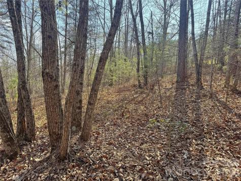 Ville Amberwood Place Rutherfordton NC 28139