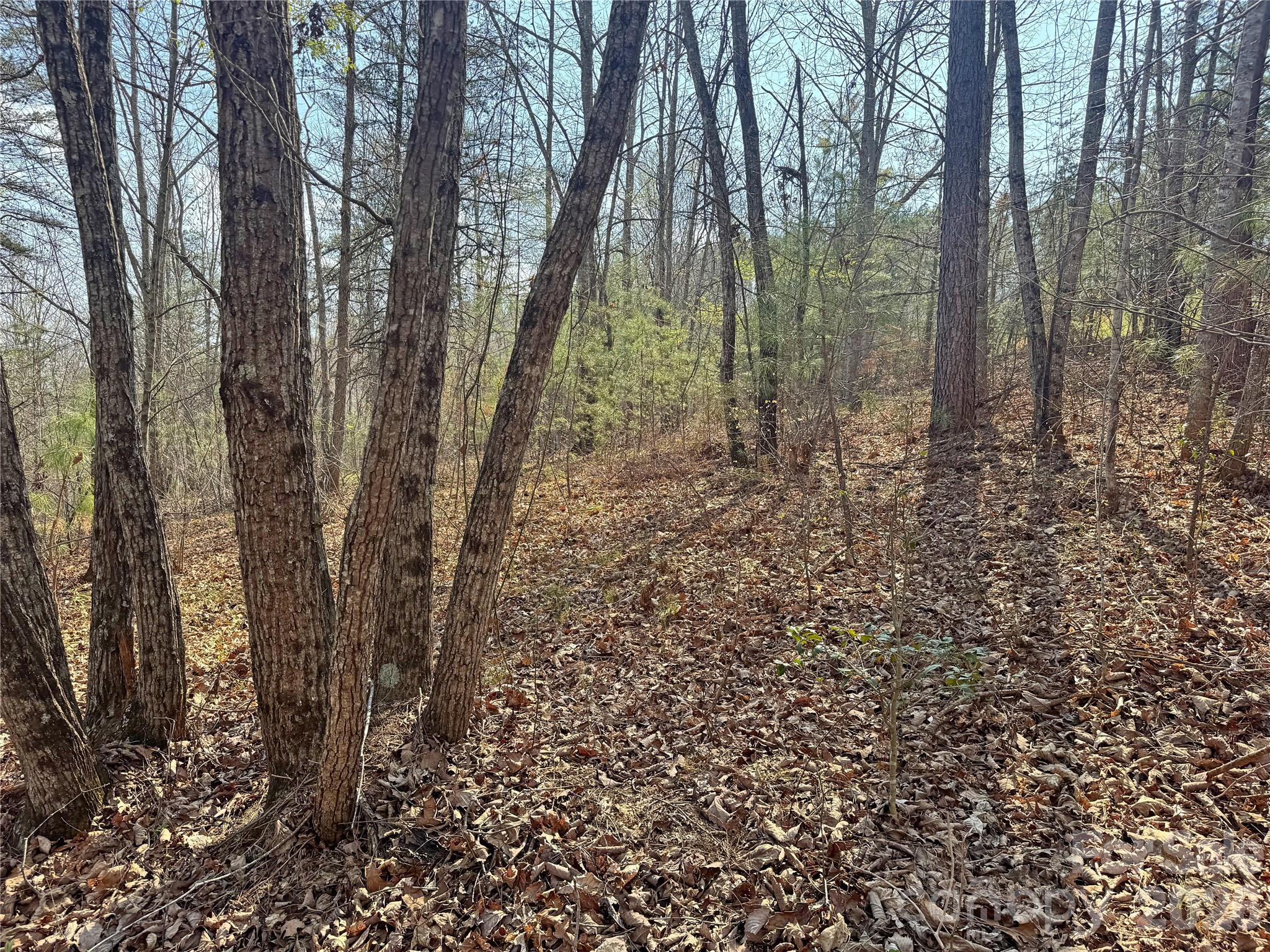 Ville Amberwood Place Rutherfordton NC 28139