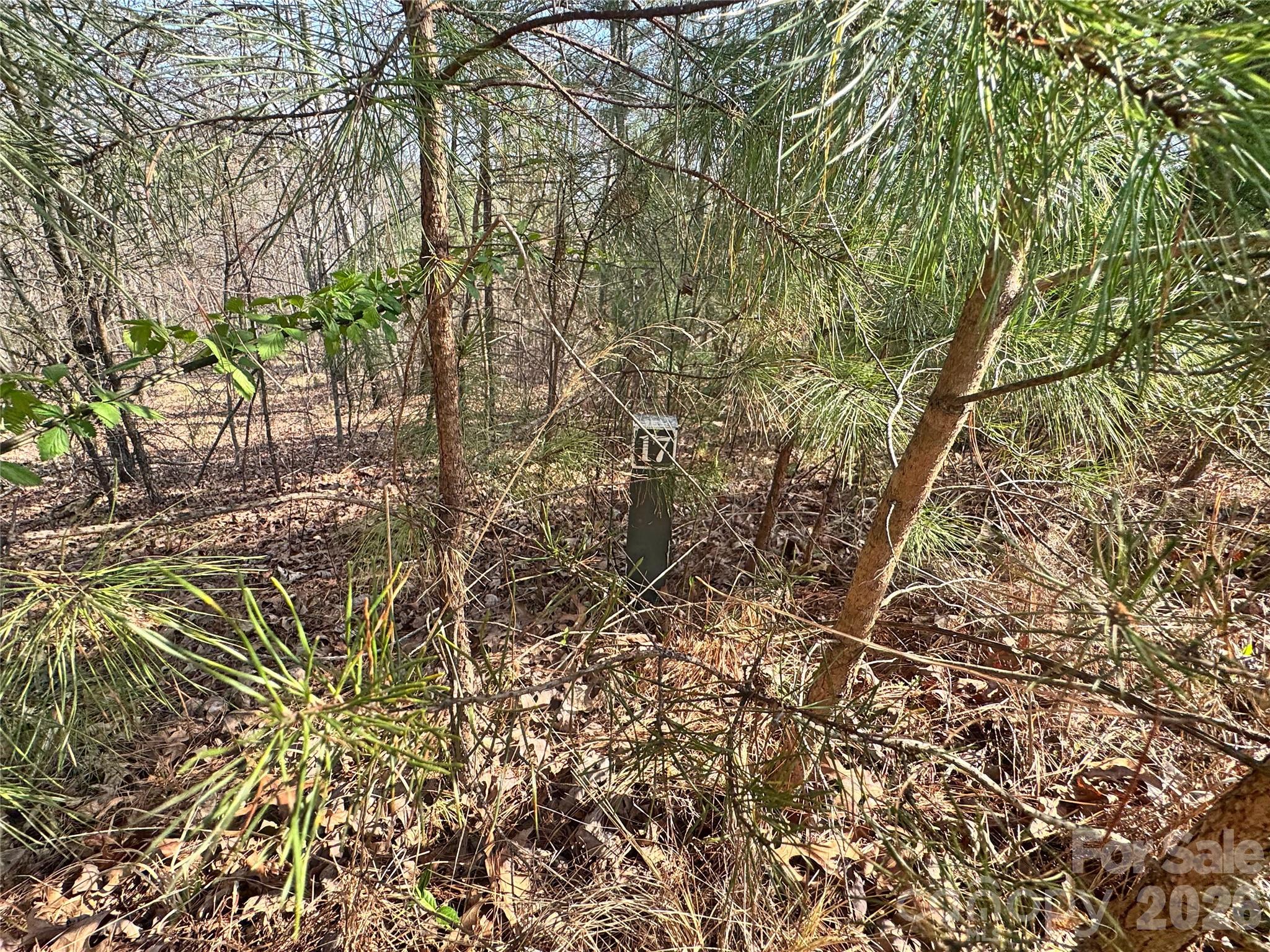 Ville Amberwood Place Rutherfordton NC 28139