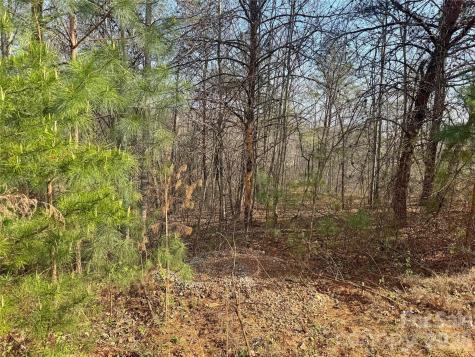 Ville Amberwood Place Rutherfordton NC 28139