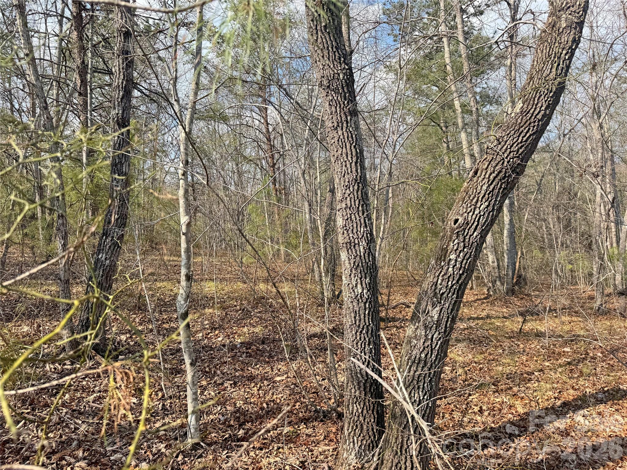 Ville Amberwood Place Rutherfordton NC 28139