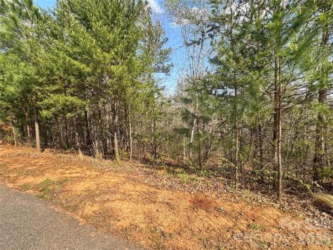 Ville Amberwood Place Rutherfordton NC 28139