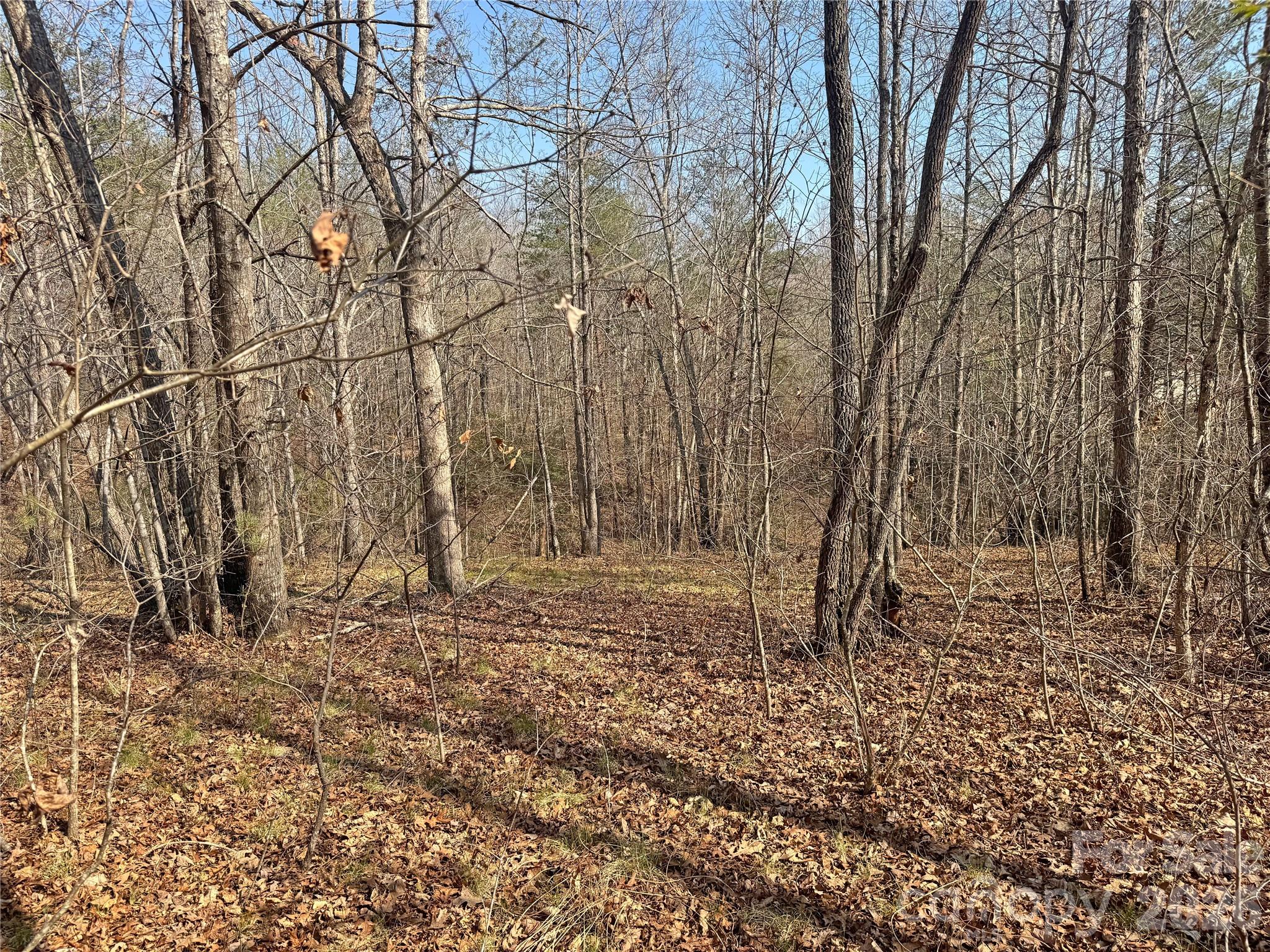 Ville Amberwood Place Rutherfordton NC 28139