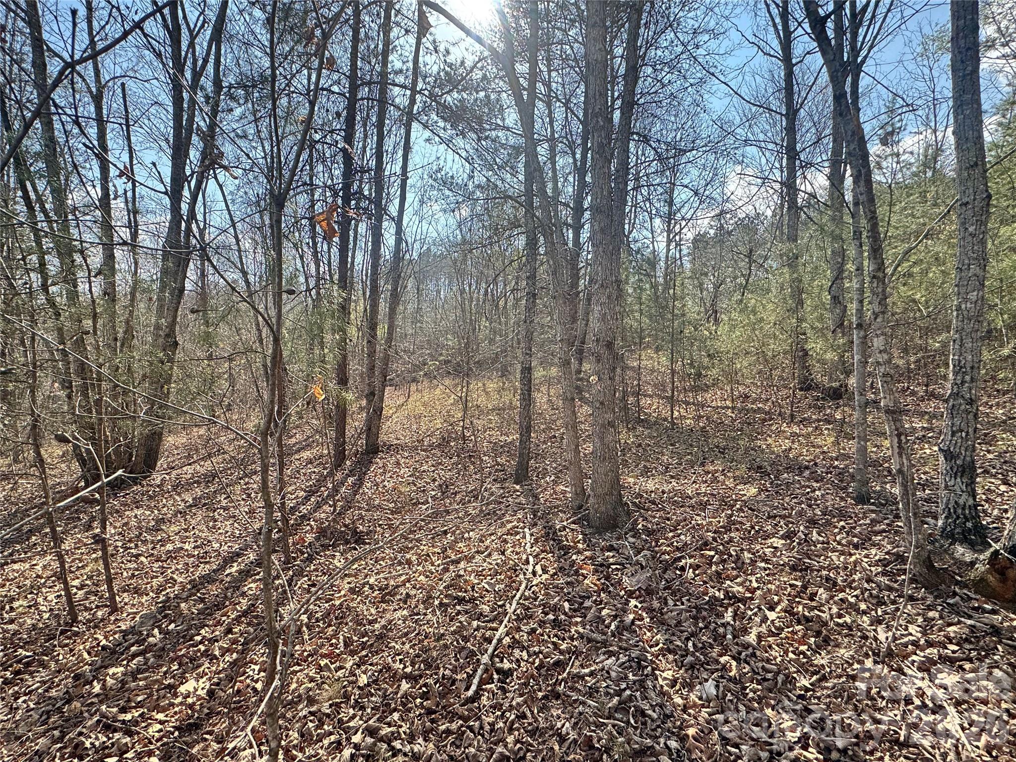 Ville Amberwood Place Rutherfordton NC 28139