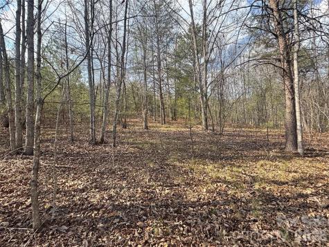 Ville Amberwood Place Rutherfordton NC 28139