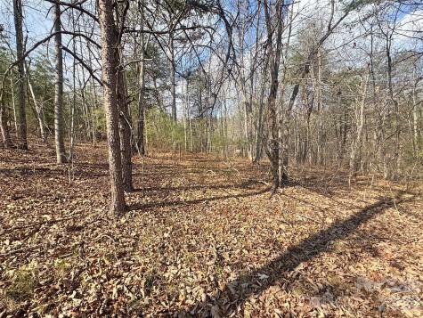 Ville Amberwood Place Rutherfordton NC 28139