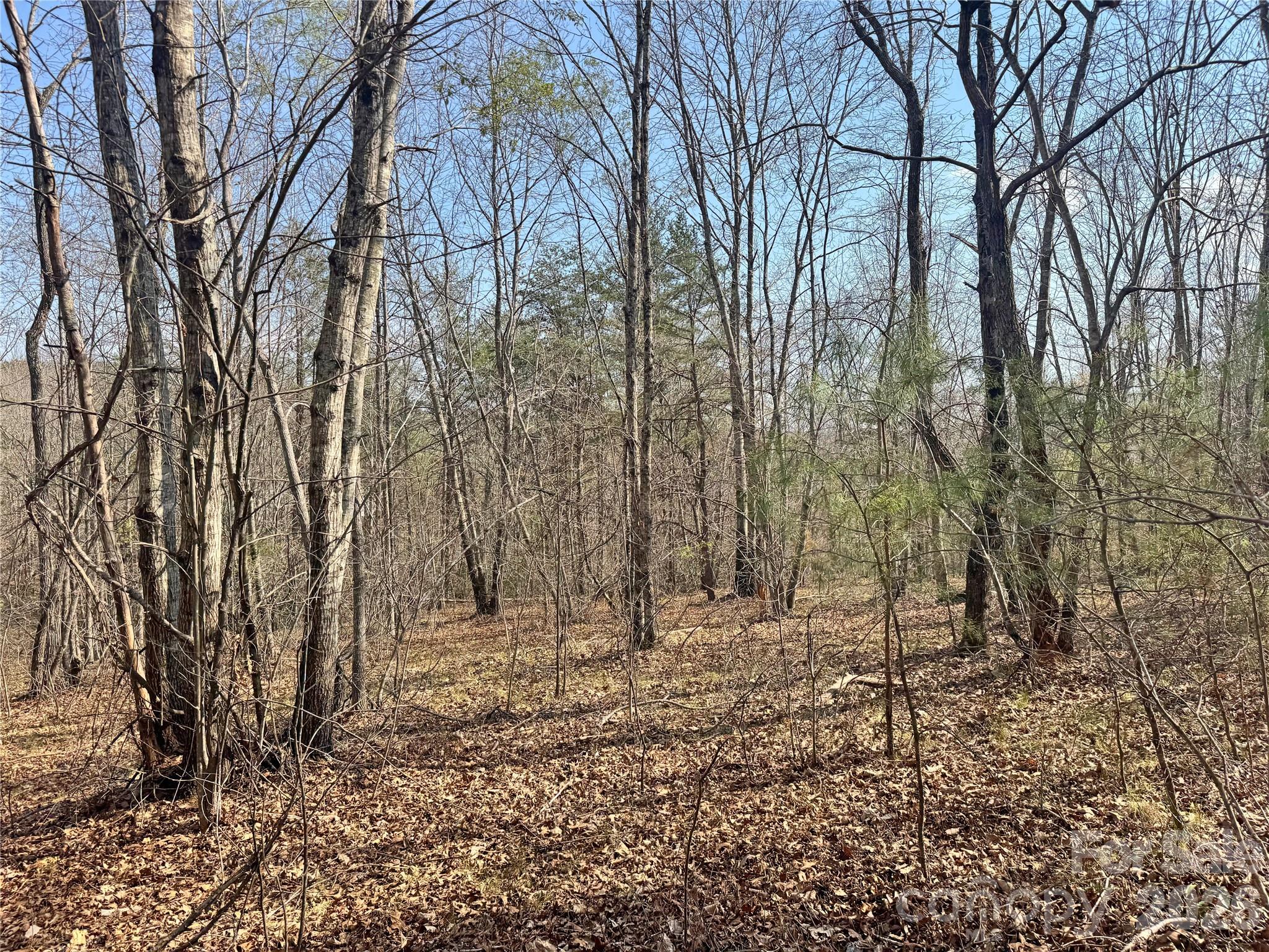Ville Amberwood Place Rutherfordton NC 28139